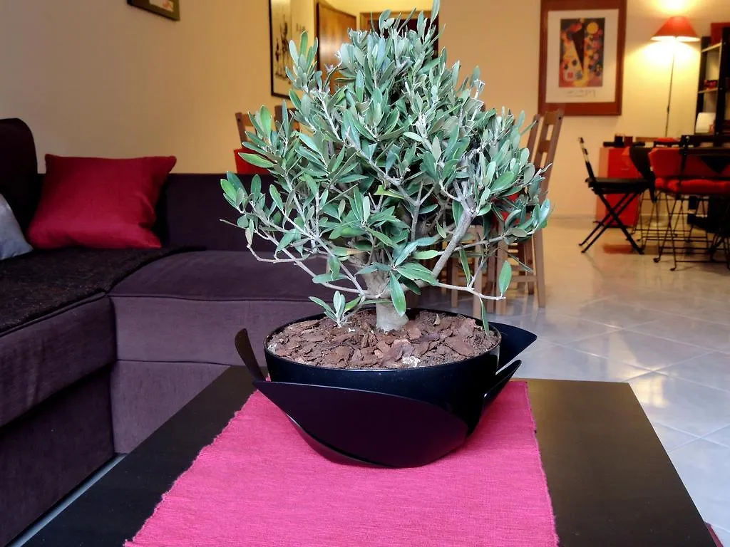 Bed & Breakfast B&B Il Rosso E Il Nero Zafferana Etnea Italy
