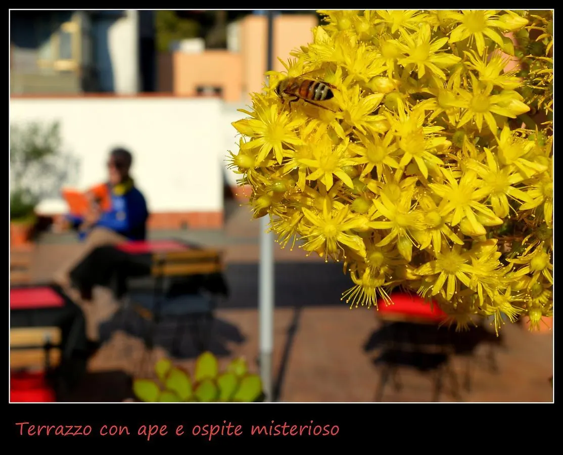 B&B Il Rosso E Il Nero Zafferana Etnea 0*,  Italy